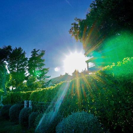 La Vida Loca Villa Seget Vranjica Exteriör bild